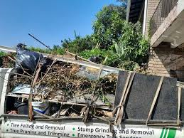 Best Residential Junk Removal  in Rockton, IL